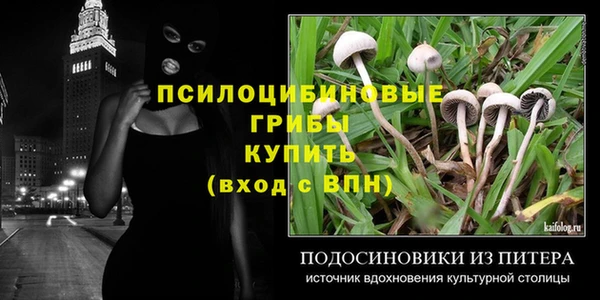 mix Гусь-Хрустальный