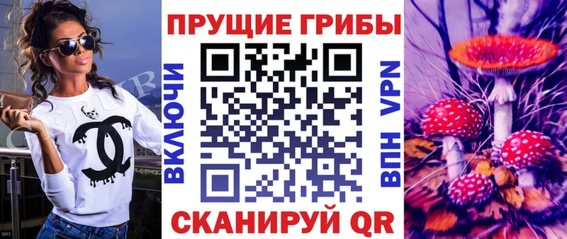 Галлюциногенные грибы Psilocybe  что такое наркотик  Волосово 